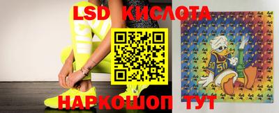 амф Камышлов