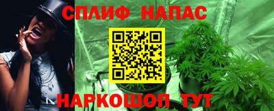 амф Камышлов
