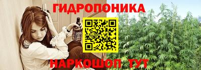 амф Камышлов