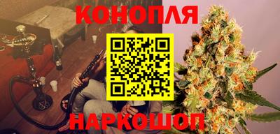 амф Камышлов