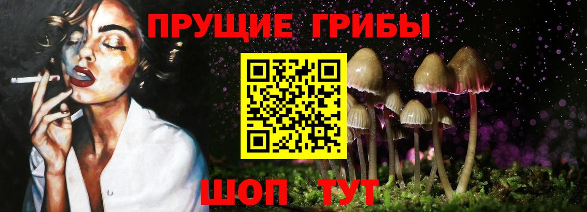 Лыткарино  Псилоцибиновые грибы Cubensis  Вход с VPN 